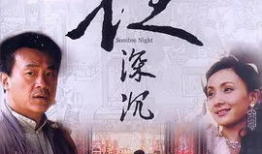 夜深沉电视剧,暗夜迷踪，情感纠葛