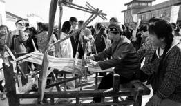 白浊村动漫,探寻神秘村落背后的奇幻世界